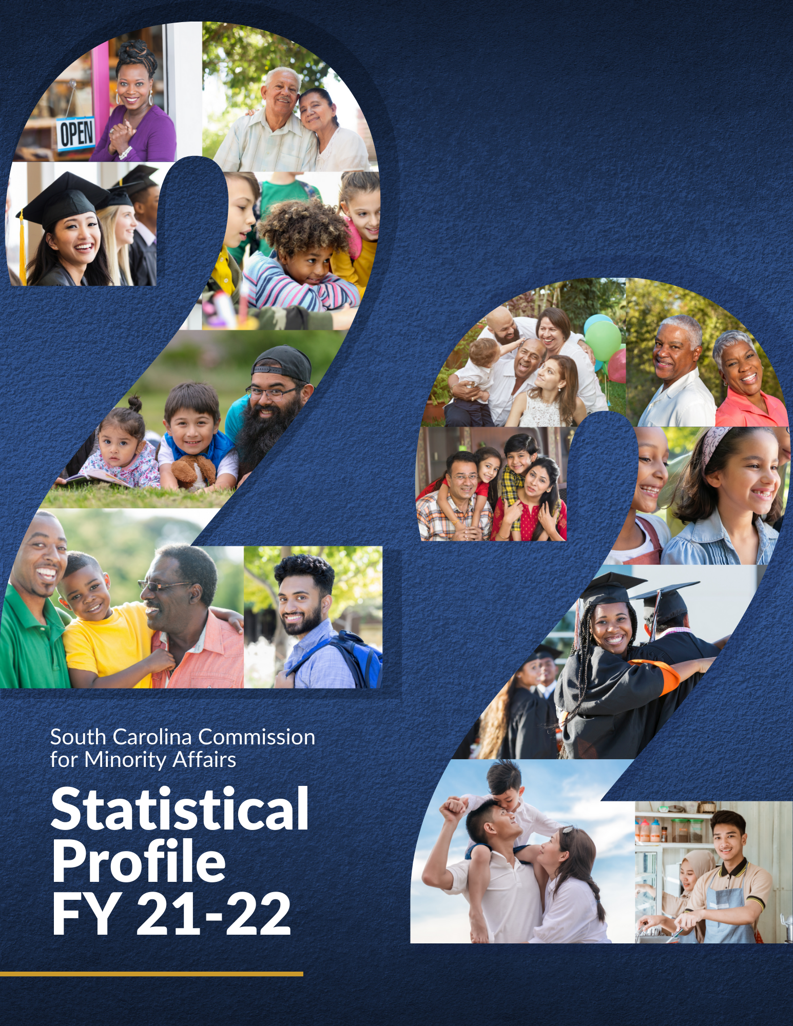 Statistical Profile Cover